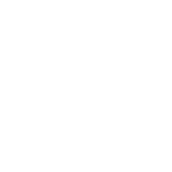 Mag. Daniel Gissenwehrer, MSc